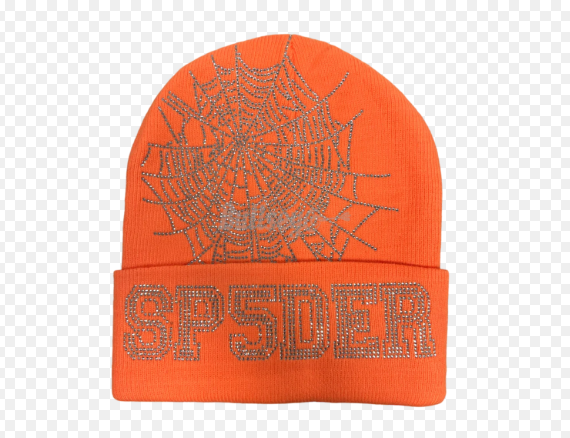SP5DER BEANIE