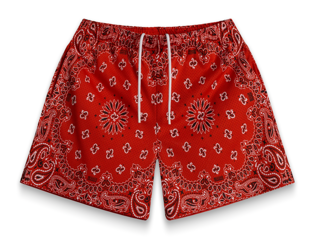 BRAVEST STUDIOS RED PAISLEY