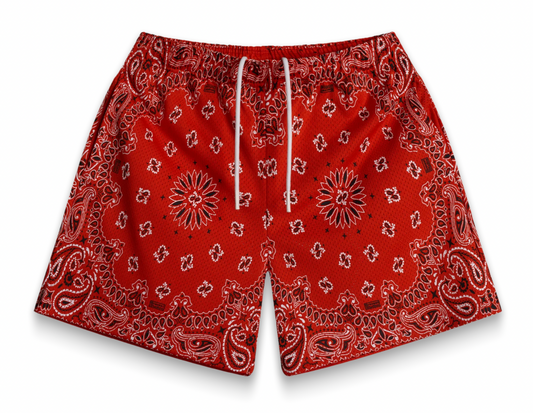 BRAVEST STUDIOS RED PAISLEY
