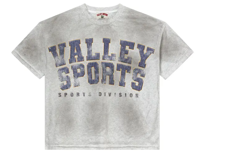 VALE FOREVER SPORTS DIVISION TEE 'GYM GREY'